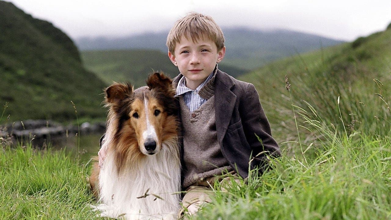 Lassie Cuevana 5