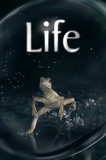 Life Cuevana 5