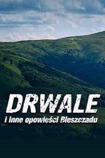 Drwale i inne opowieści Bieszczadu Cuevana 5