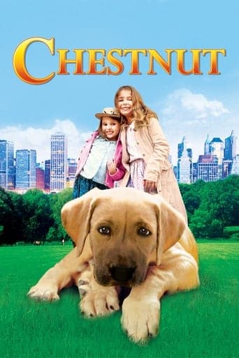 Chestnut: El héroe de Central Park Cuevana 5